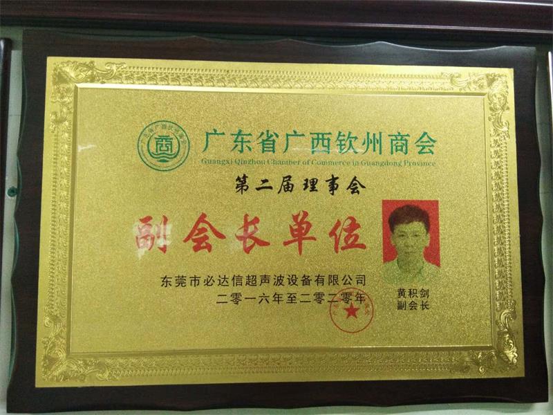 廣西欽州商會副會長單位