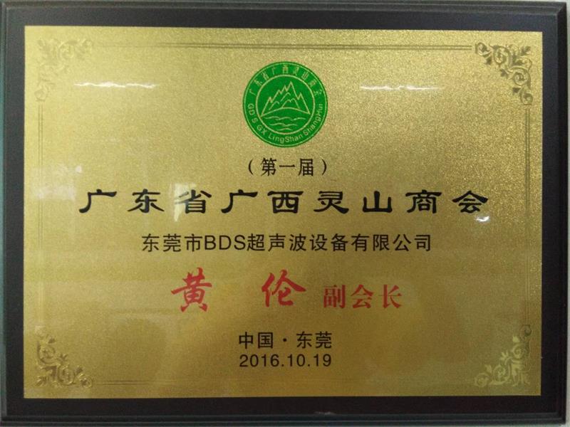 廣西靈山商會副會長